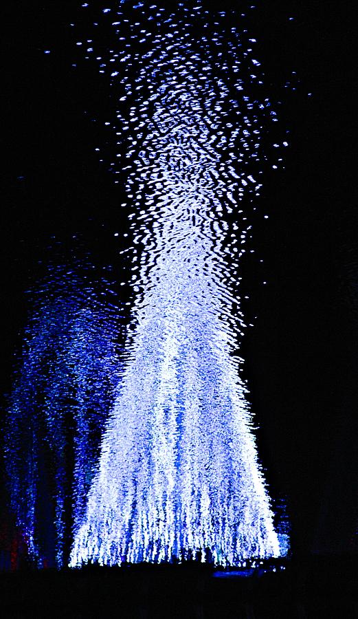 Christmas In The Water Photograph by Dan Sproul