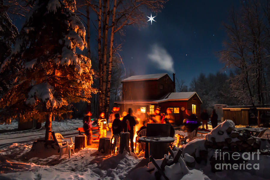 Christmas in the woods Photograph by Lori Dobbs