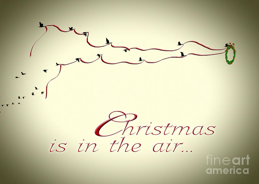 Christmas Is In The Air Photograph by K Hines - Fine Art America