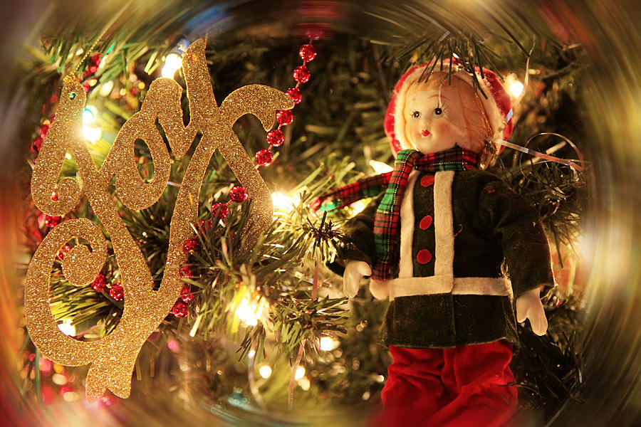 Christmas Joy Photograph by Toni Hopper
