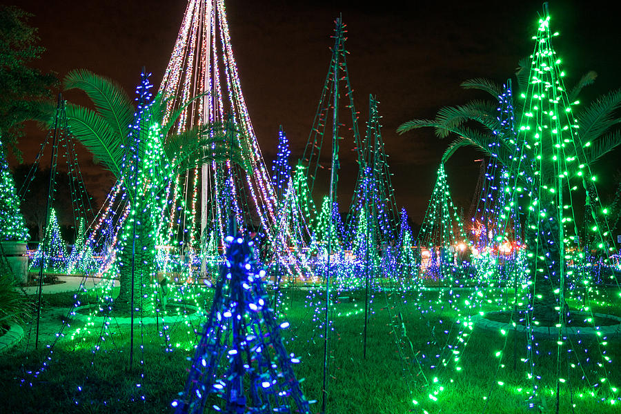 Christmas Lights 2 Photograph by Richard Goldman