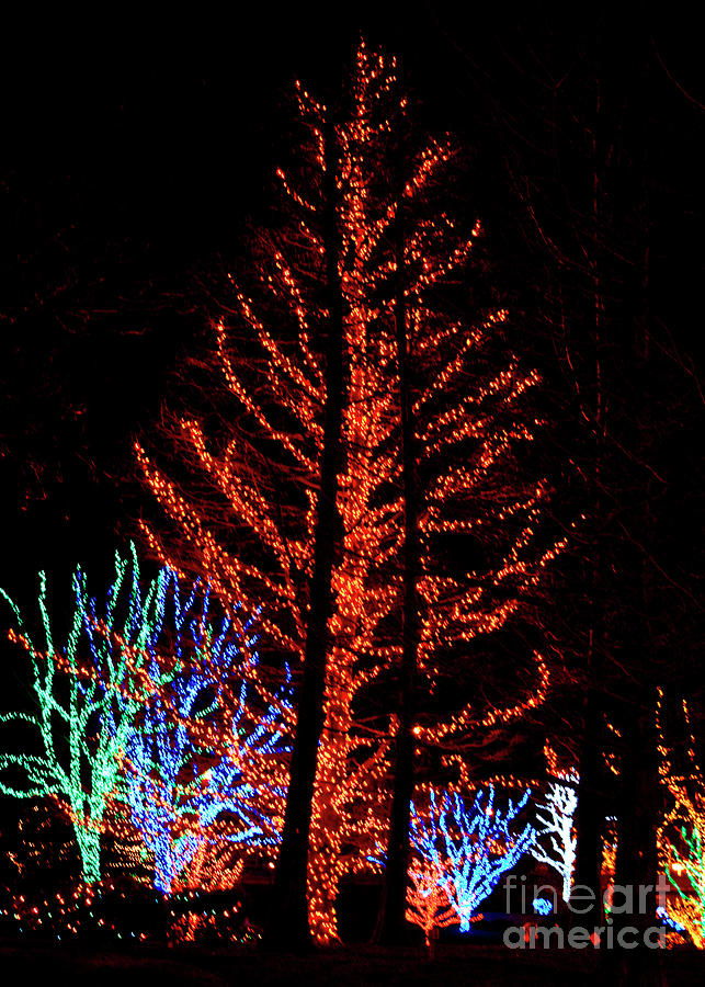 Christmas Lights 3 Photograph by Deborah Smolinske