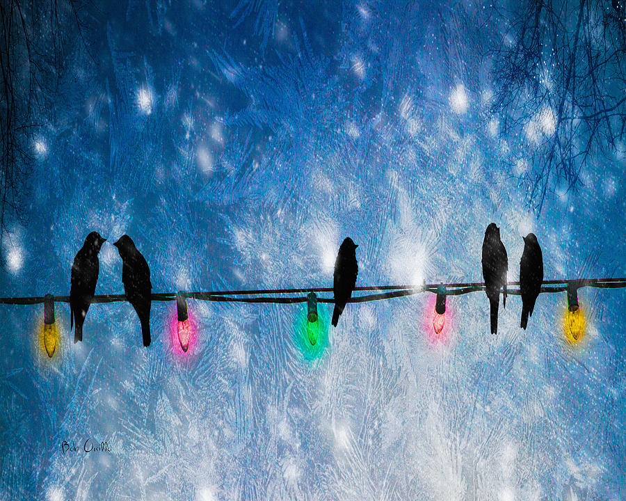 Christmas Lights Photograph by Bob Orsillo