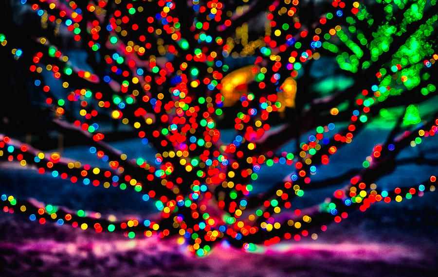 Christmas Photograph - Christmas Lights by David Kay
