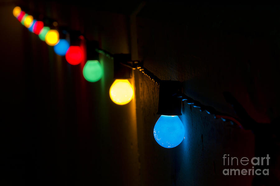 Christmas Lights Photograph by Dennis Hedberg