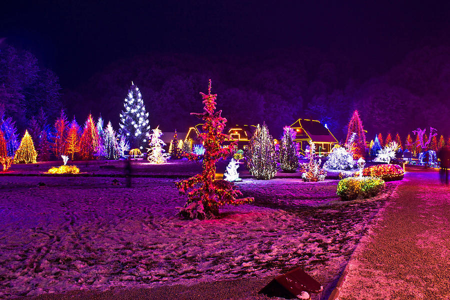 Christmas lights in town park - fantasy colors Mixed Media by Brch Photography