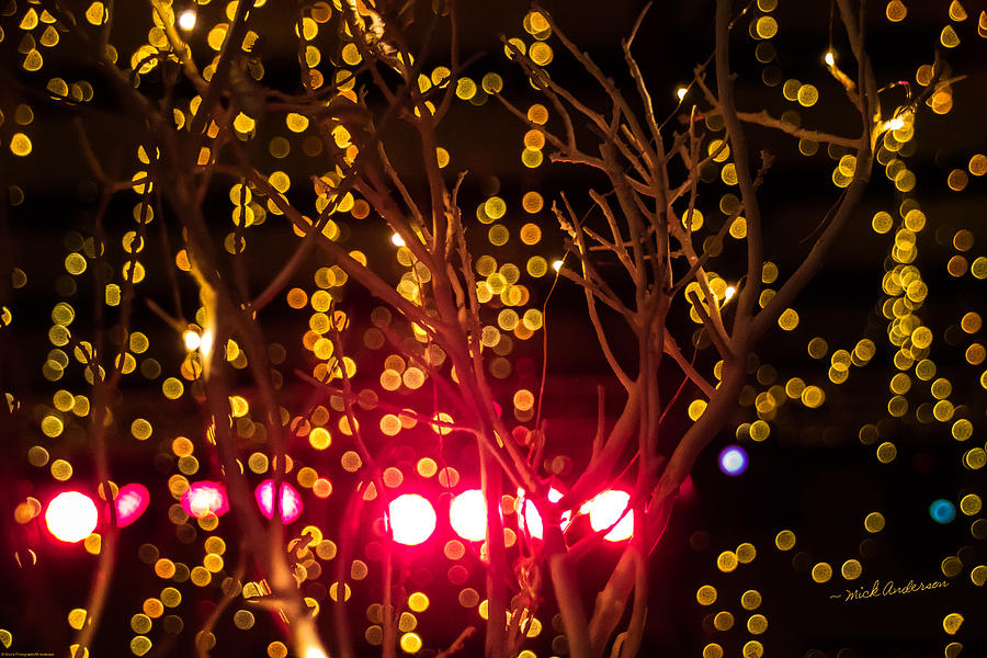 Christmas Lights Photograph by Mick Anderson
