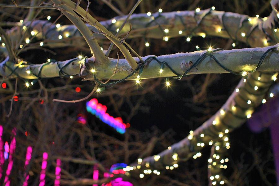 Reno Photograph - Christmas Lights by Tony Castle
