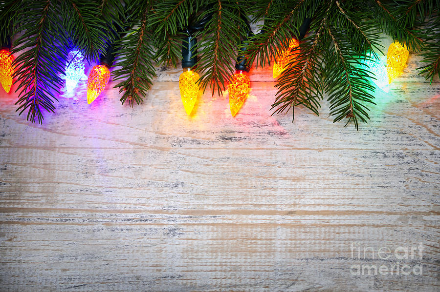 Christmas Photograph - Christmas lights with pine branches by Elena Elisseeva