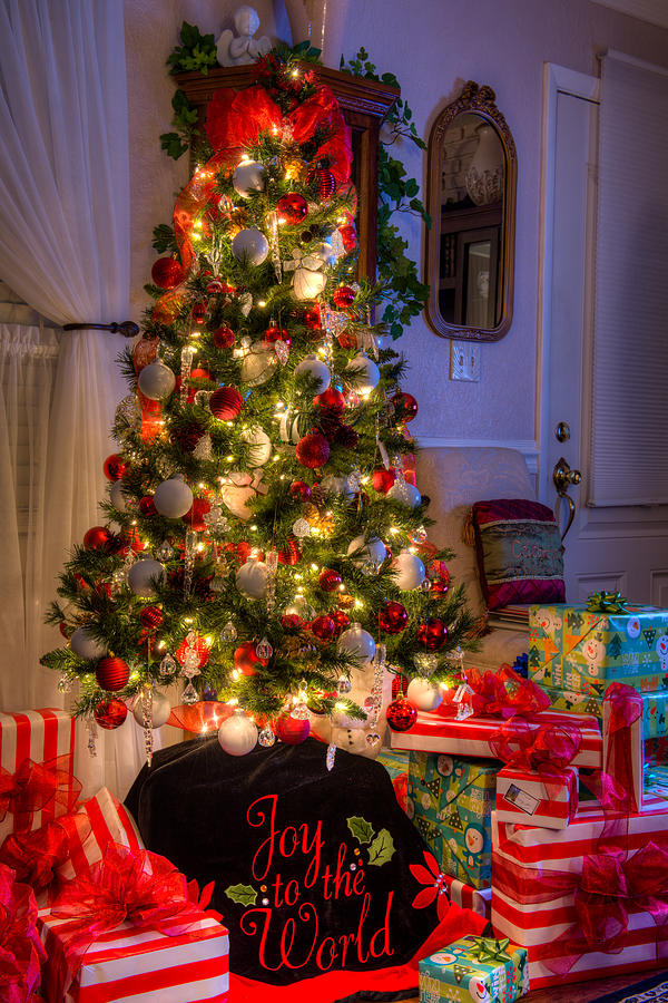 Christmas Morning Photograph by Dennis Dame