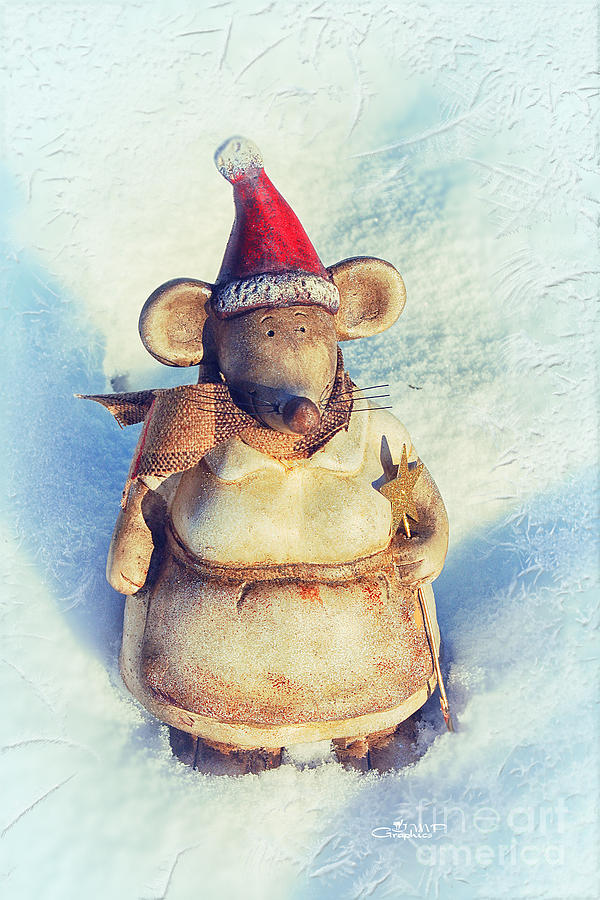Christmas Mouse Photograph by Jutta Maria Pusl