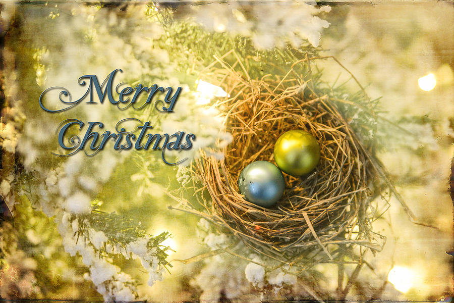 Christmas Nest Eggs Photograph by Mary Timman