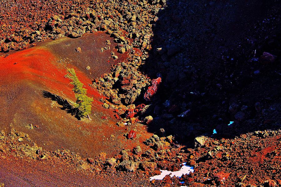 Christmas on Mars Photograph by Benjamin Yeager
