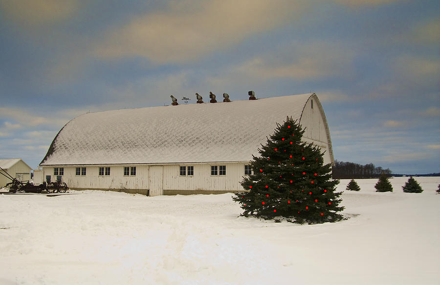 Christmas On The Farm Photograph By Mary Timman - Fine Art America