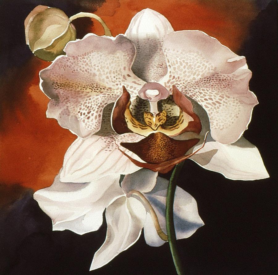 Christmas Orchid Painting by Alfred Ng