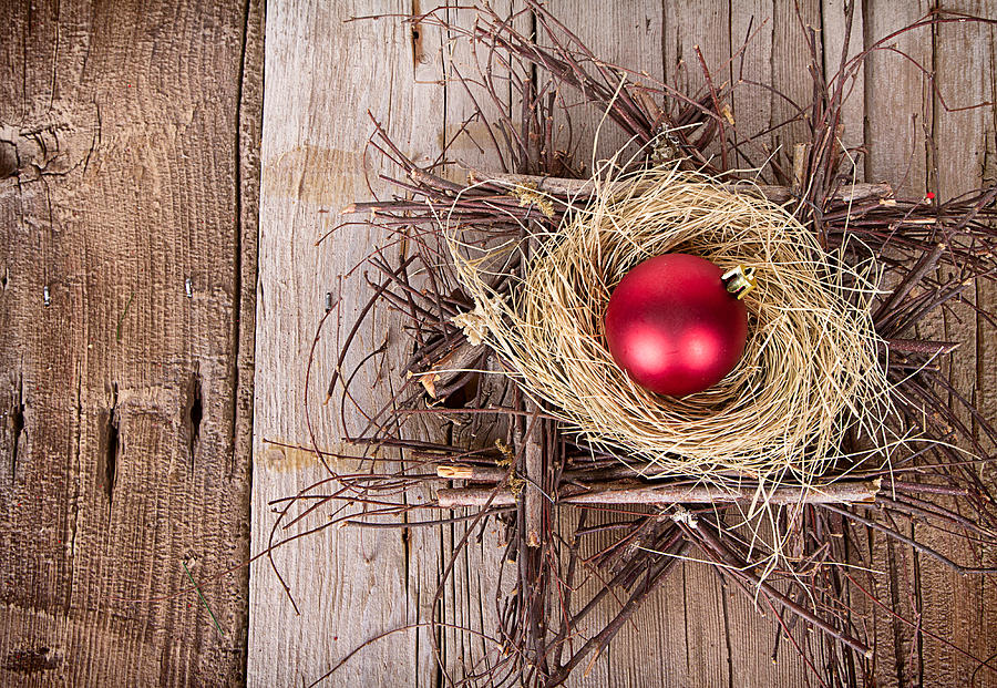 Christmas Photograph - Christmas ornament in a nest by Jennifer Huls