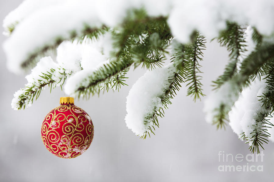 Christmas Photograph - Christmas Ornament in the Snow by Diane Diederich