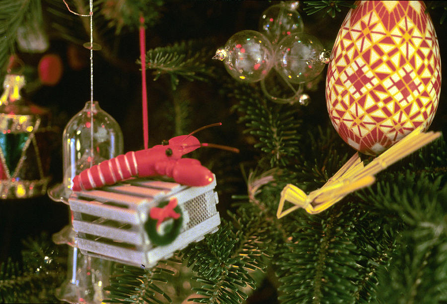 Christmas Ornaments I Photograph by Harold E McCray