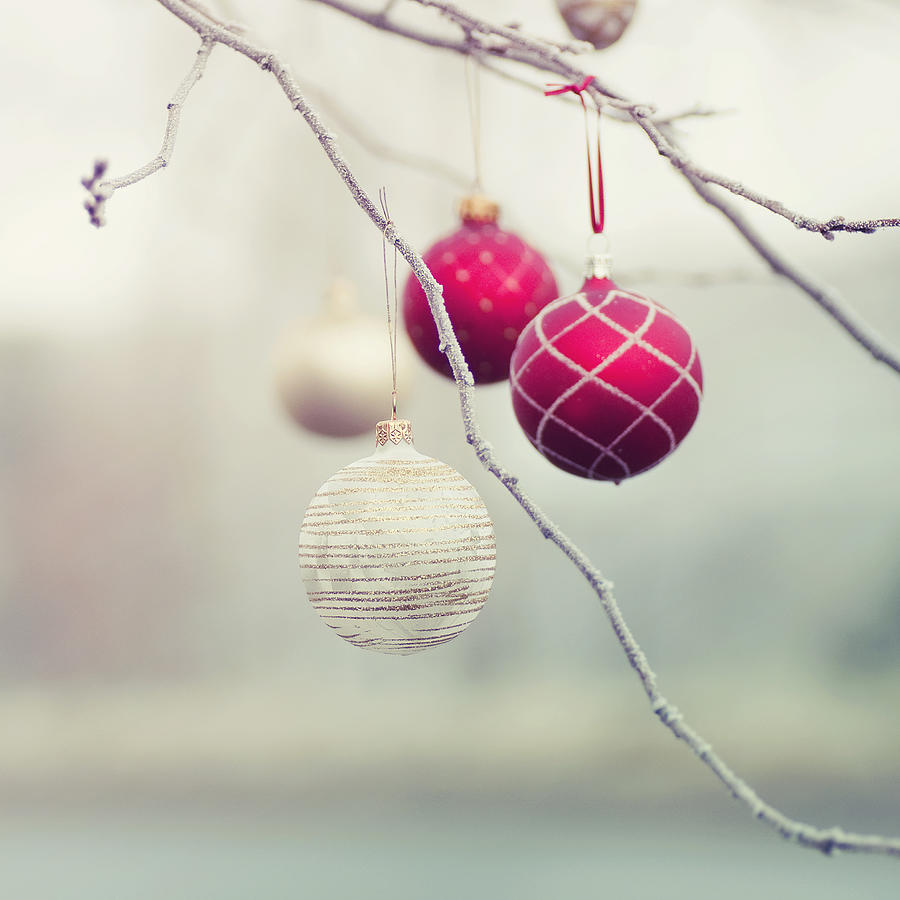 Christmas Ornaments in Tree Photograph by Maria Kallin