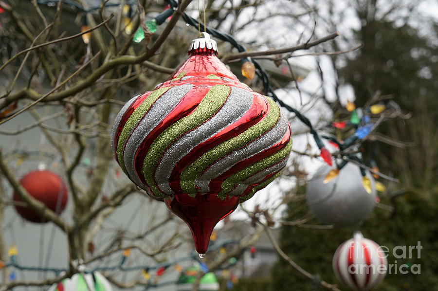 Christmas Ornaments Photograph by John  Mitchell