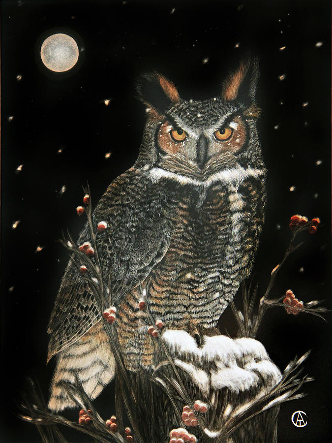Christmas Owl Painting by Angie Cockle