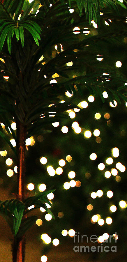 Christmas Palm Photograph by Linda Shafer