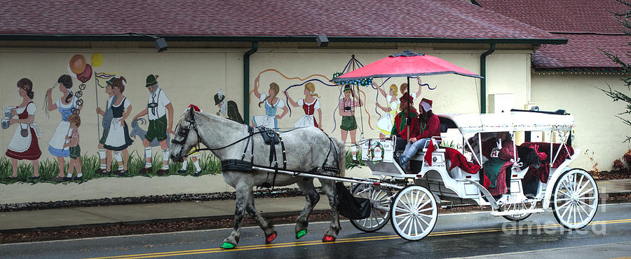 Christmas Parade Photograph by Donna Brown