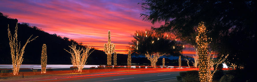 Christmas, Phoenix, Arizona, Usa Photograph by Panoramic Images