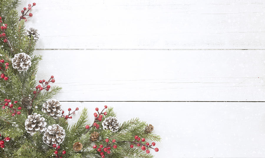 Christmas pine garland border on an old white wood background Photograph by Liliboas