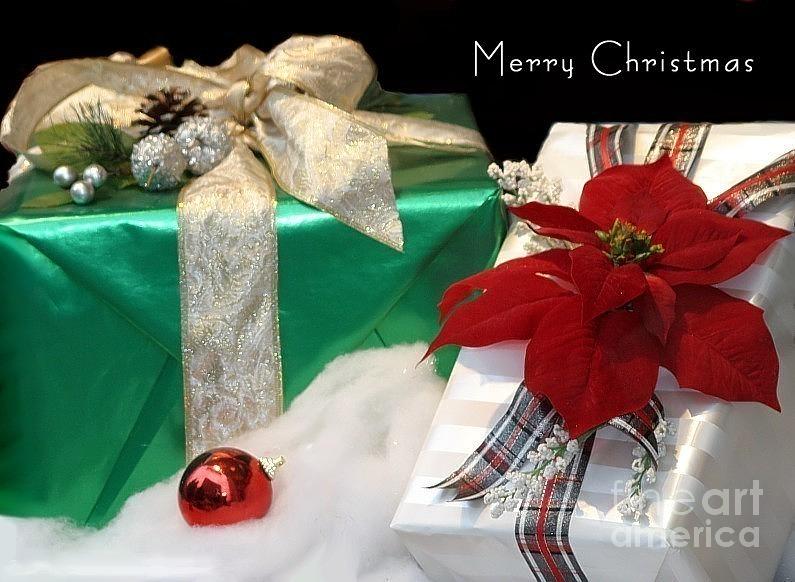 Christmas Presents Photograph by Living Color Photography Lorraine Lynch
