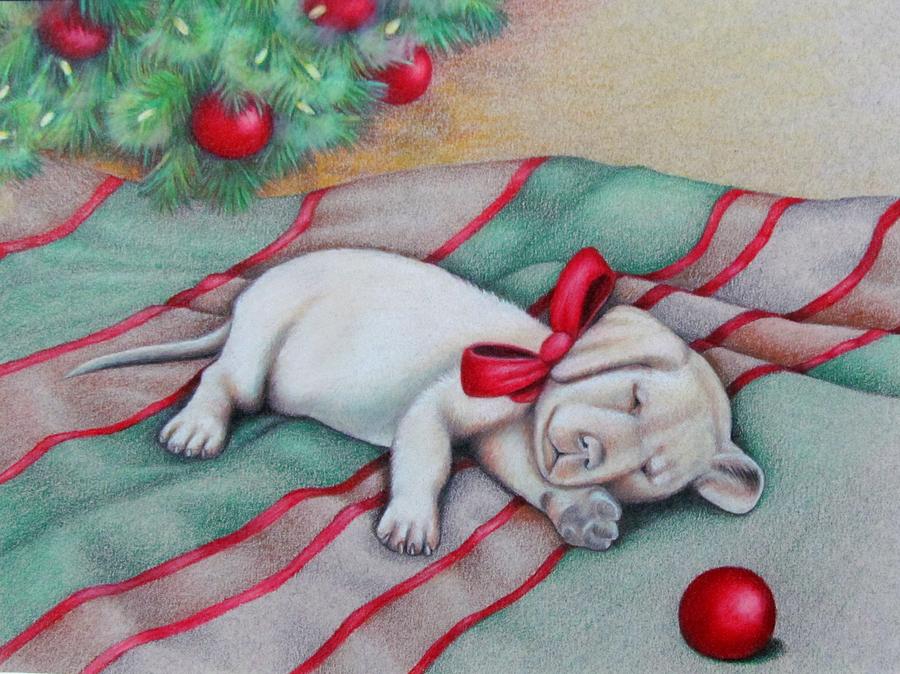 Pet Portraits Drawing - Christmas Puppy by Cynthia Stewart