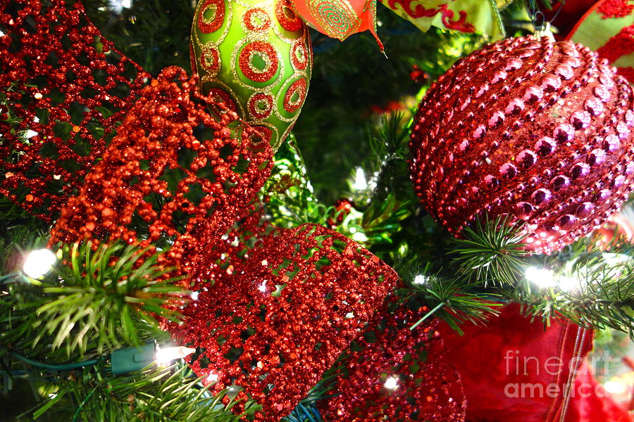 Christmas Red Photograph by Jacqueline Athmann