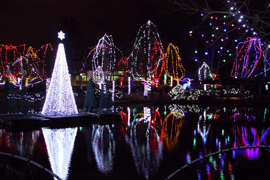 Christmas Reflections Photograph by Dan Sproul