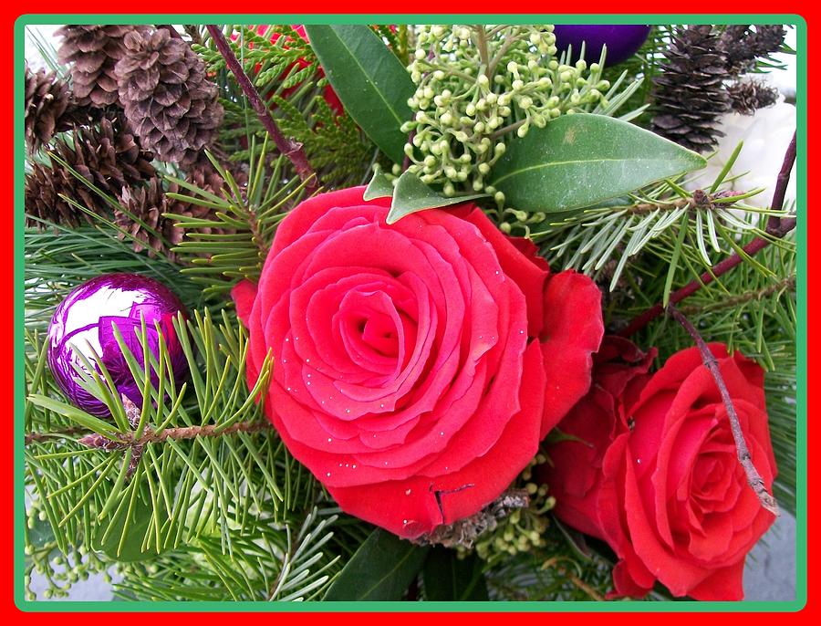 Christmas Rose Bouquet  Photograph by Sharon Duguay