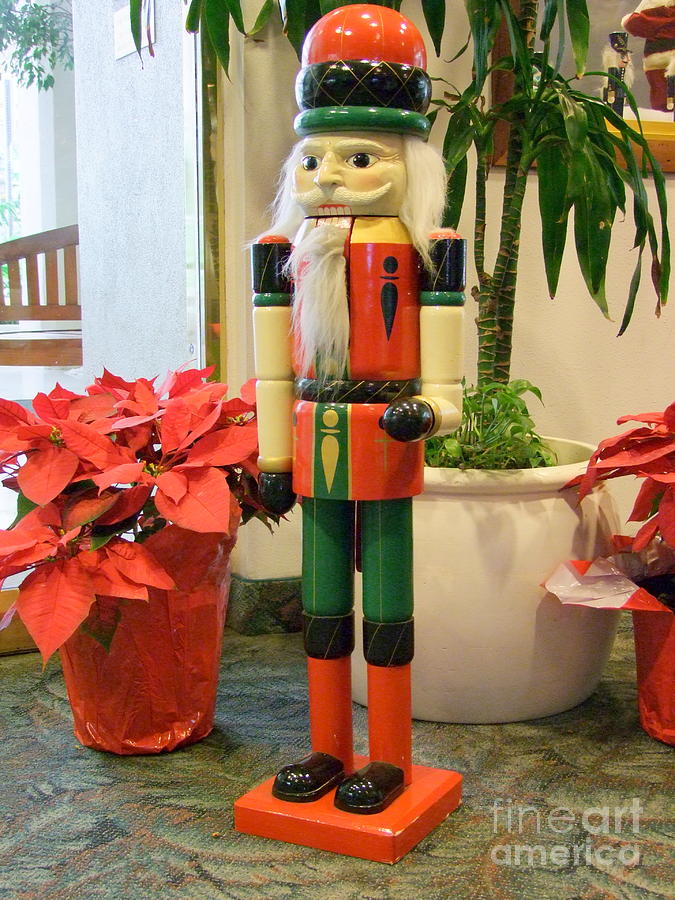 Christmas Sentinel No 2 Photograph by Mary Deal