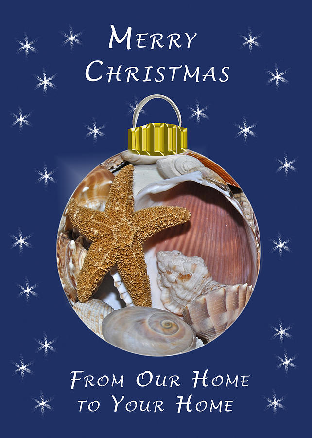 Christmas Shell Ornament Photograph by Michael Peychich