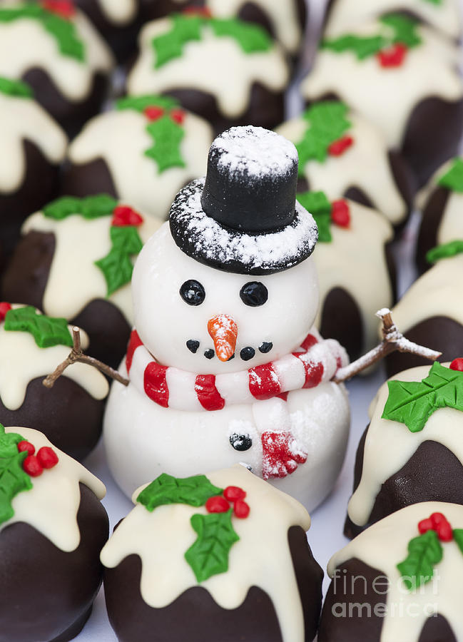 Christmas Snowman and Chocolate Puddings Photograph by Tim Gainey