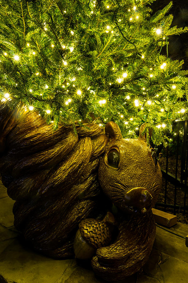 Christmas Squirrel  Photograph by Jay Stockhaus