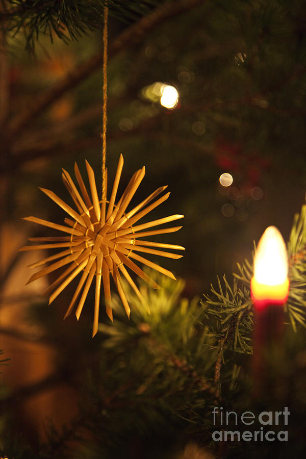 Christmas Star At Tree Photograph