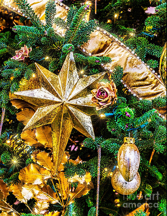 Christmas Star Photograph by Nick Zelinsky Jr