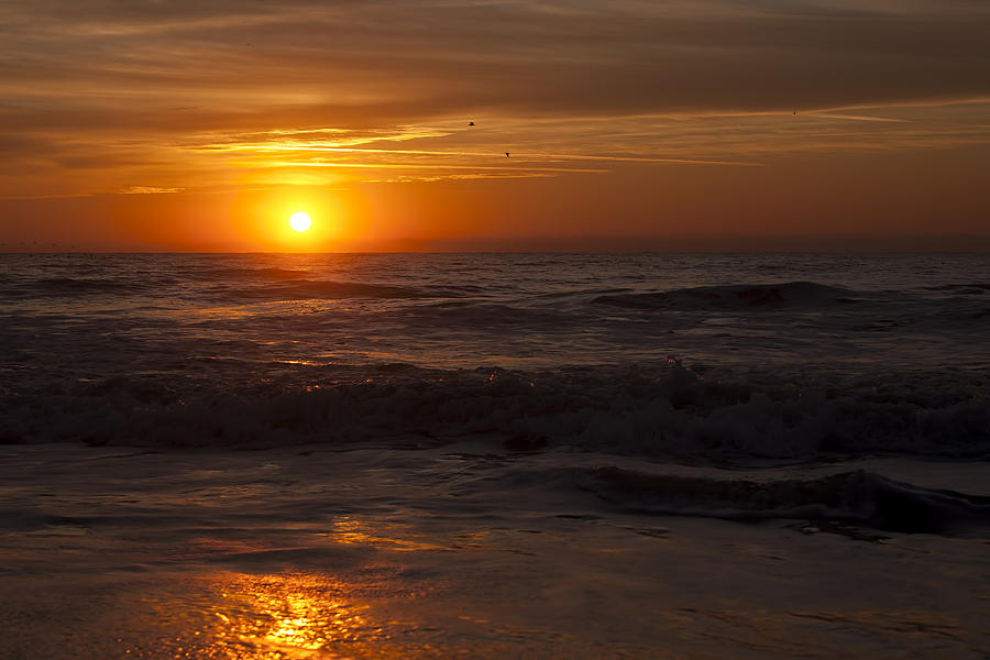 Christmas Sunrise Photograph by Terry Shoemaker