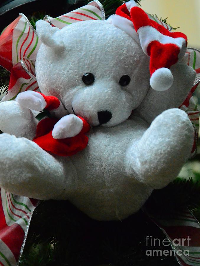 Christmas Photograph - Christmas Teddy Bear by Kathleen Struckle