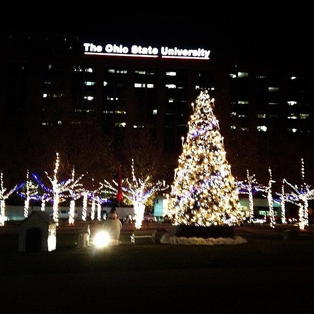 Christmas Photograph - The Ohio State University by Brooke Wheeler
