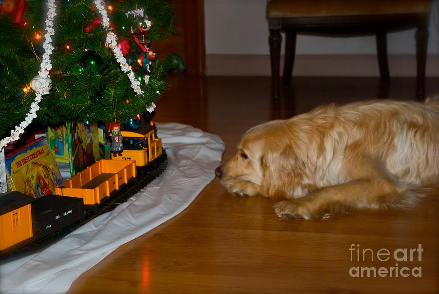 Christmas Cards Photograph - Christmas Train by Frank J Casella
