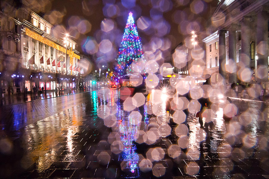 Christmas Tree Photograph by Alex Art