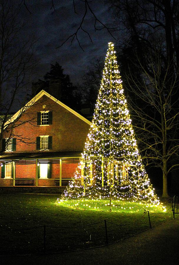 Christmas Photograph - Christmas Tree And House by Stephen Hobbs
