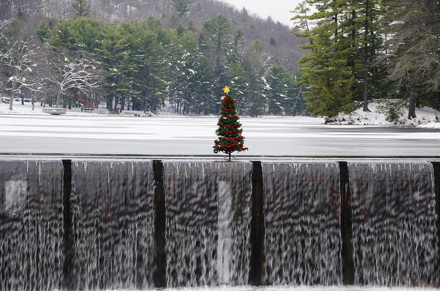 Christmas Photograph - Christmas Tree at Bear Creek Waterfall by Bill Cannon