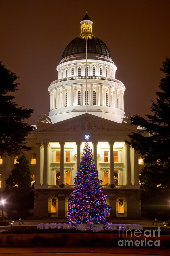 Christmas Tree At California State House Photograph by Spencer Grant