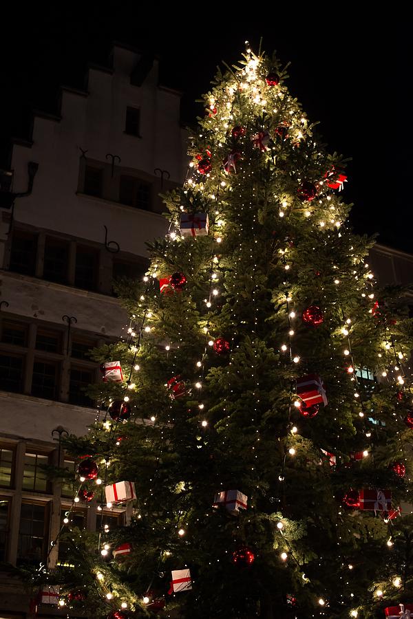 Christmas tree at night Photograph by Frank Gaertner | Pixels