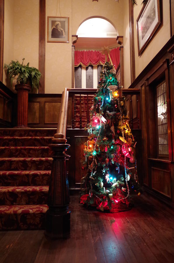 Christmas Tree at Royal BC Museum Photograph by Marilyn Wilson